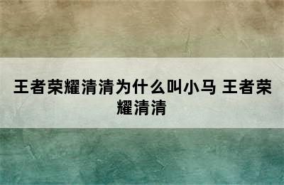 王者荣耀清清为什么叫小马 王者荣耀清清